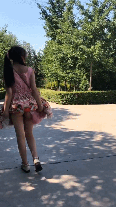 22460598.gif