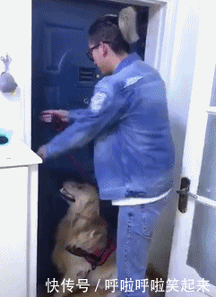 t01d1917fb7abad7c11.gif