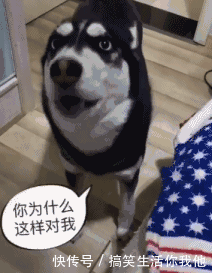 t01b26a8a17164bc216.gif