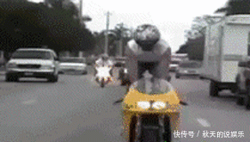 t01b4f0582f174534ad.gif
