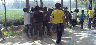 a866724b25973acde9c612f768c631f4.gif
