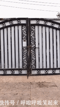 t015af5ae546a8635eb.gif