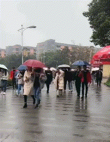 t01dafe423b08e23641.gif