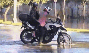 t01eae0b6cadef40106.gif