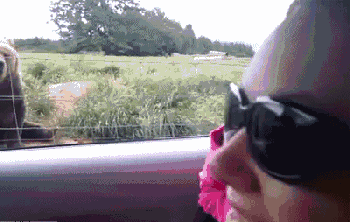 a4fa5c01fa8a403fb68e80976fd67f63.gif