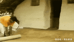 t010f9db769e6b4758f.gif