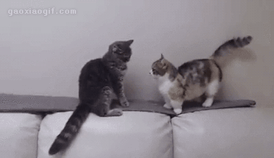 2ed7000208b938e06a5e.gif