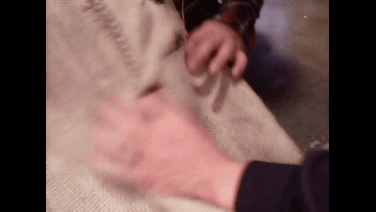 ffe60000a7f3b98a282b.gif