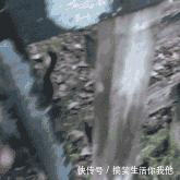 t0136fe1a9521f28367.gif