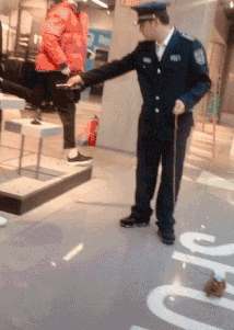 t01dd9aef415c625248.gif