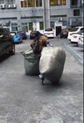 t01aa18ed81ac944b03.gif
