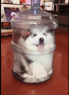 t018d567527028304da.gif