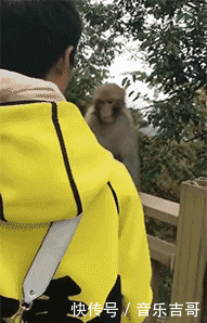 t0183db0f8c25d362d8.gif