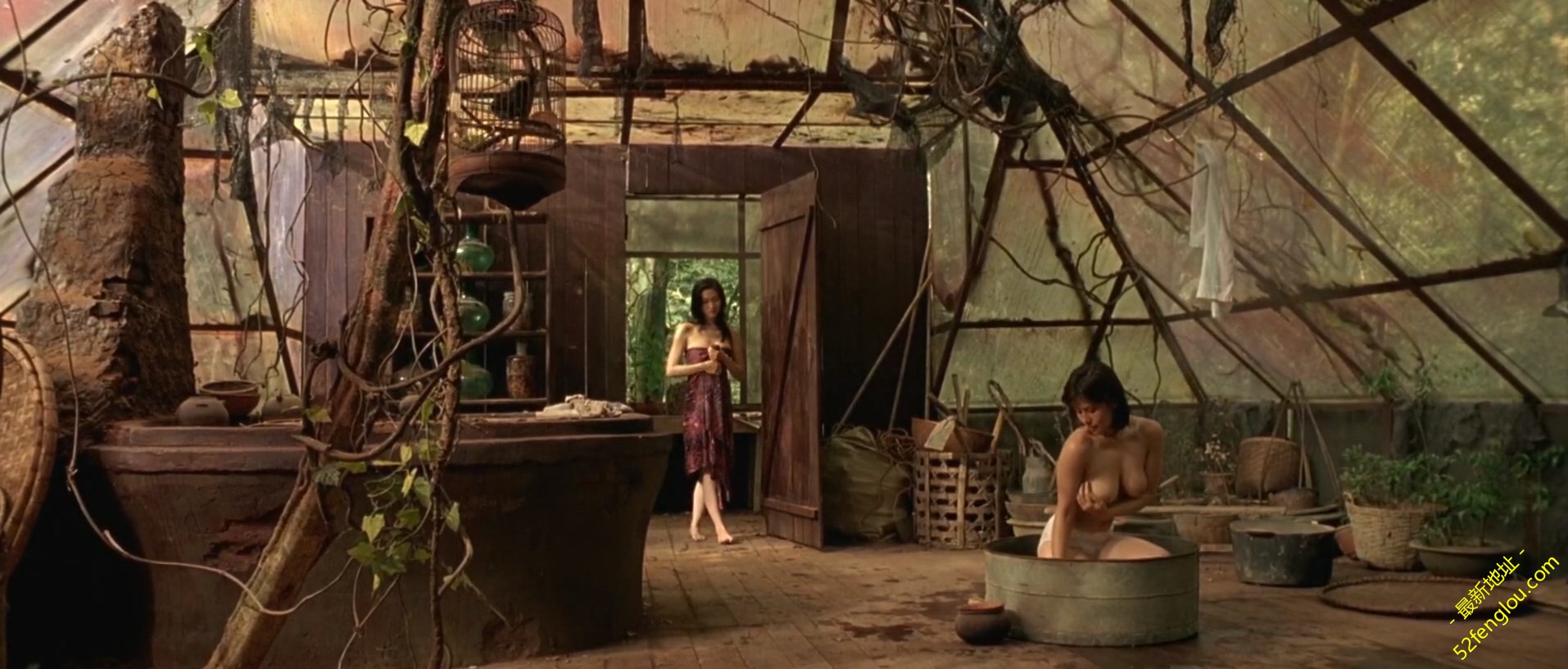 The.Chinese.Botanists.Daughters.2006.WEBRip.1080p.X264.2AAC-mrSkinlove.mkv_20190.jpg