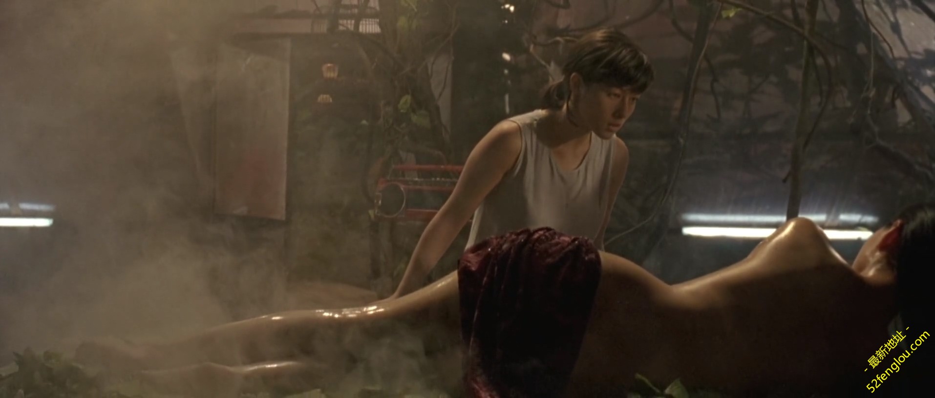 The.Chinese.Botanists.Daughters.2006.WEBRip.1080p.X264.2AAC-mrSkinlove.mkv_20190.jpg