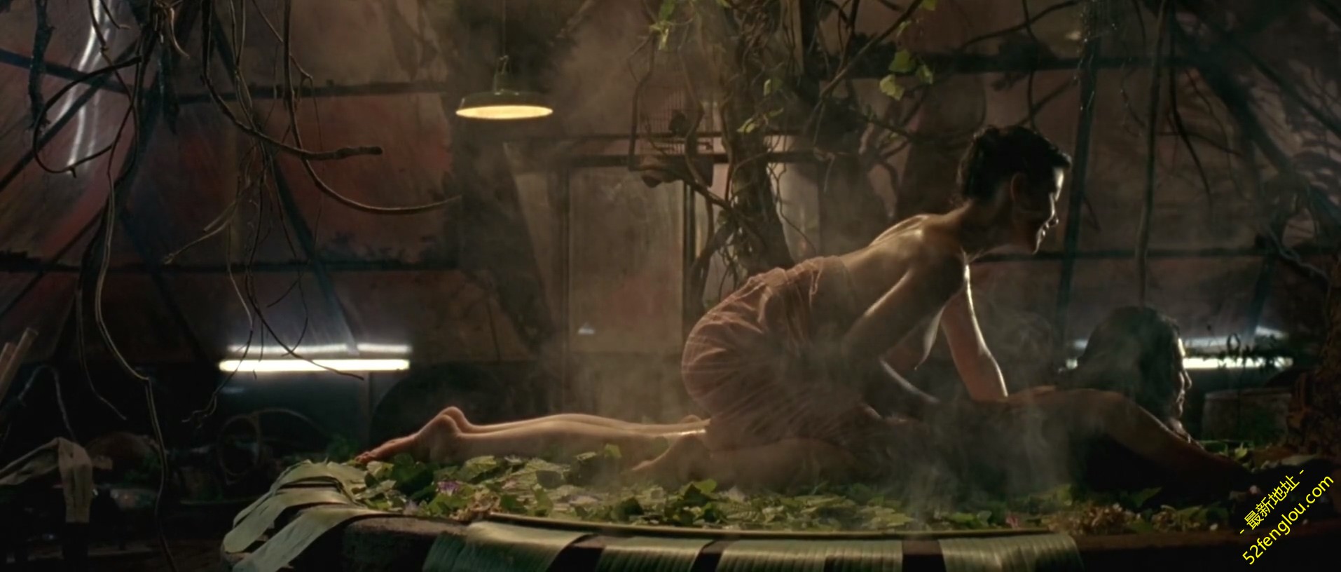 The.Chinese.Botanists.Daughters.2006.WEBRip.1080p.X264.2AAC-mrSkinlove.mkv_20190.jpg