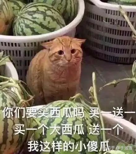 1585747173522.jpeg