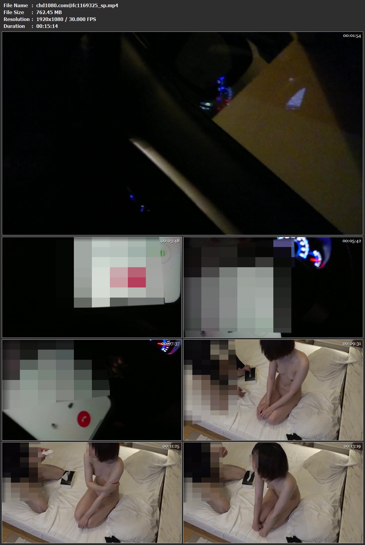 fc1169325_sp.mp4.jpg