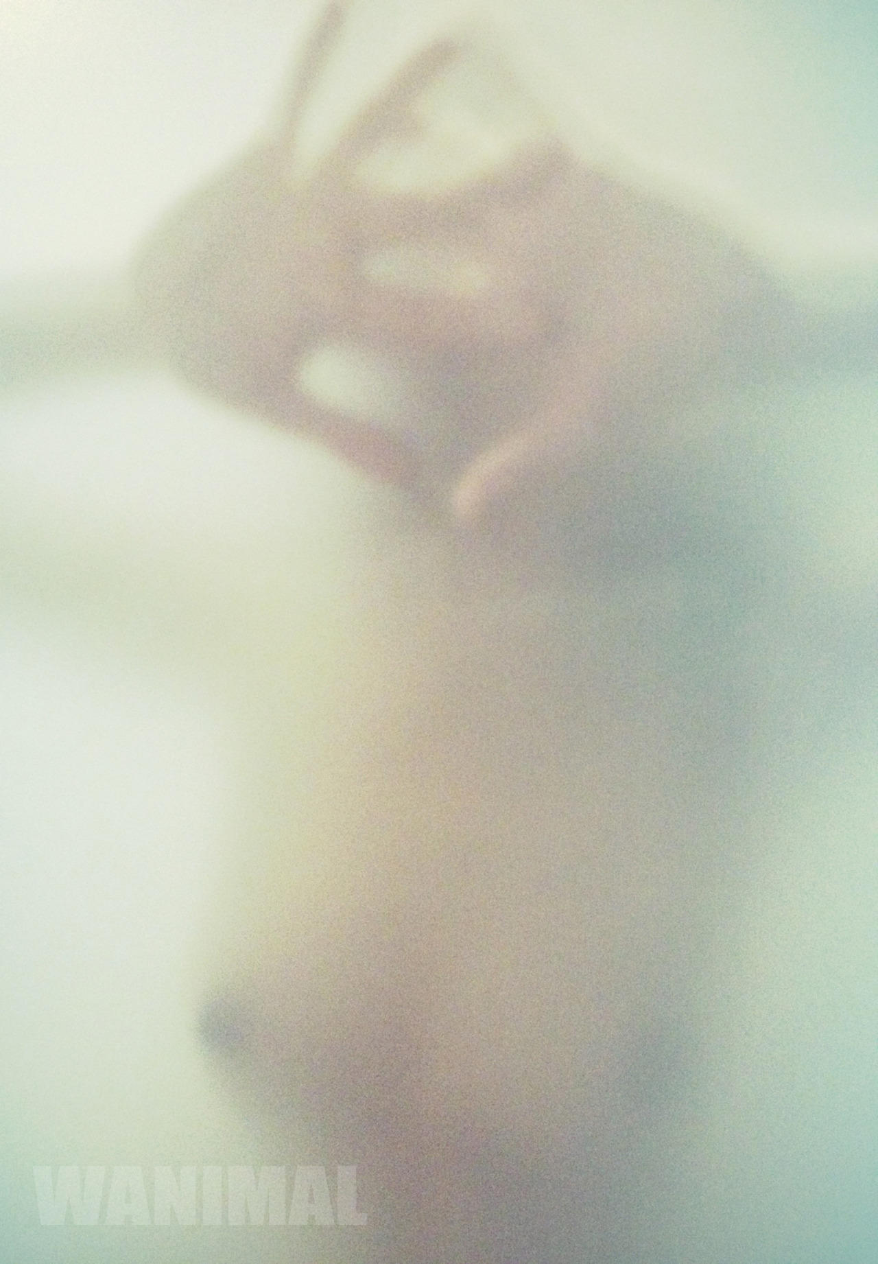 d535be62bbe18886567930d8aa0a04bf.jpg