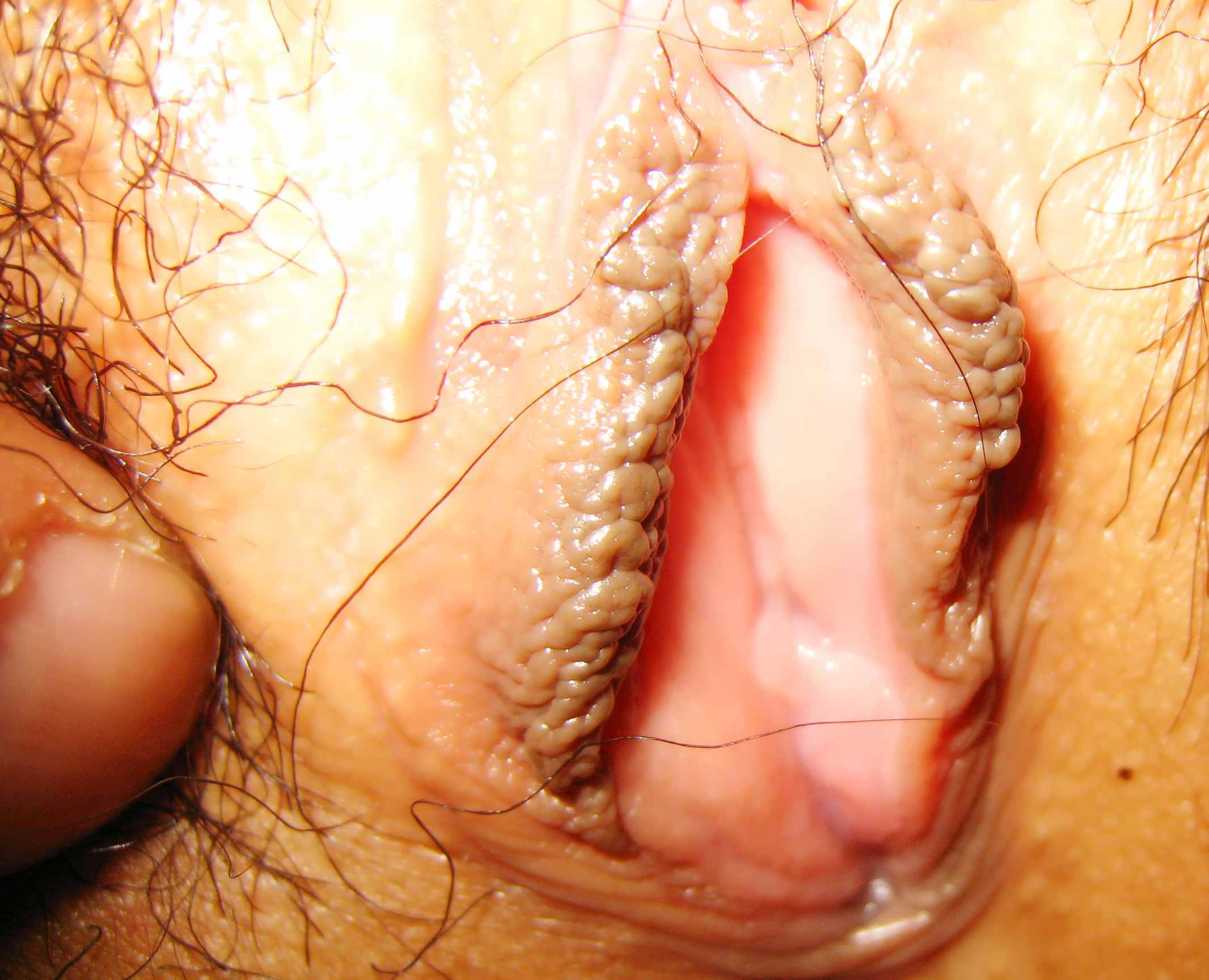 51cc49469a84dd3da57220d541f51c61.jpg