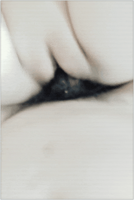 14050594.gif