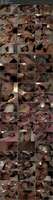 8764127mym4i_t.jpg