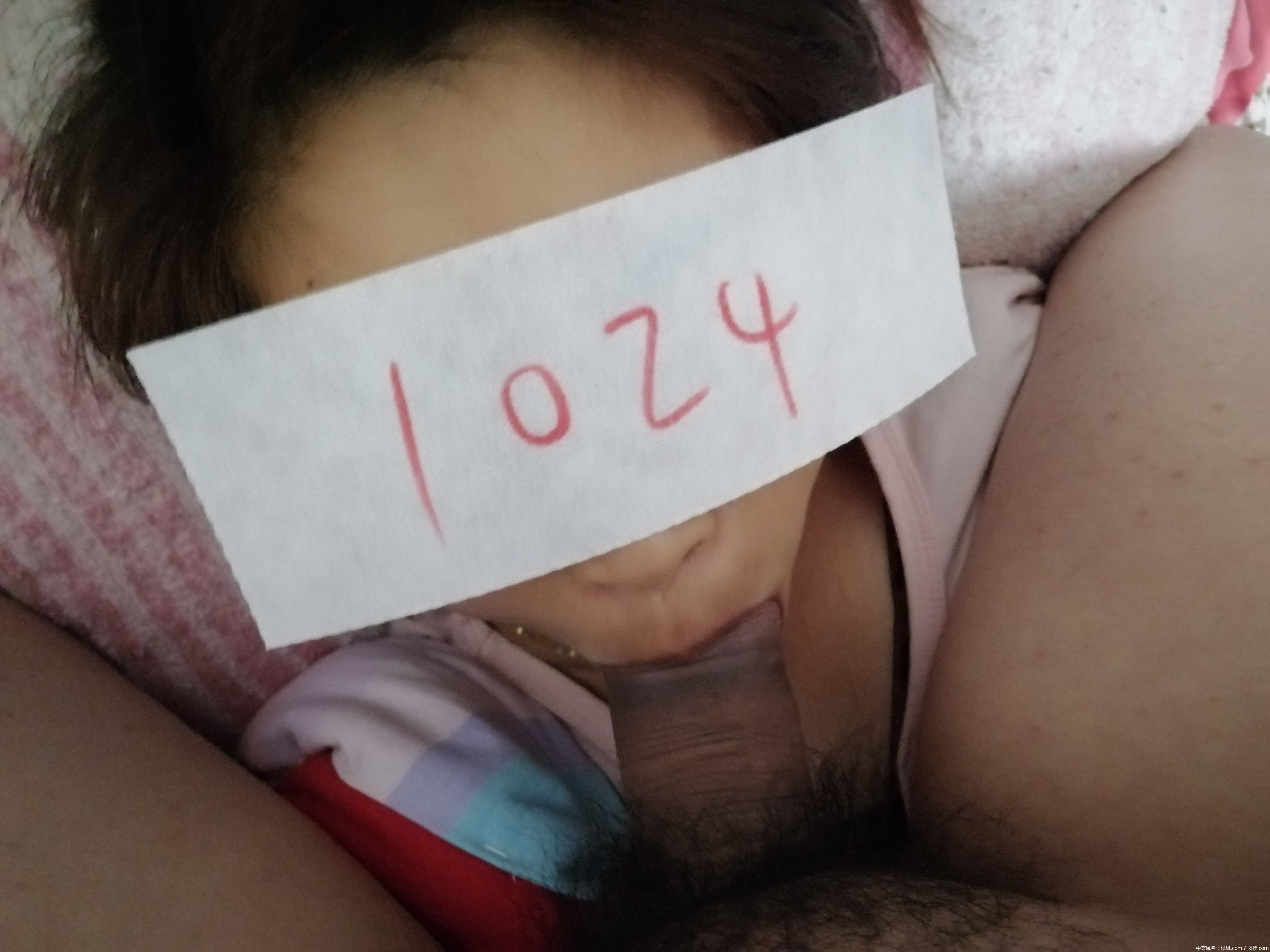 8s8zm5.jpg