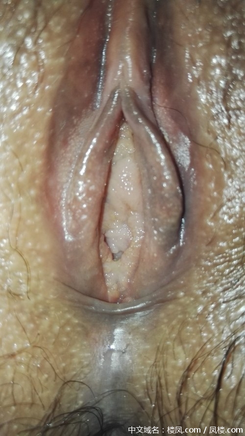 nmxu01.jpg