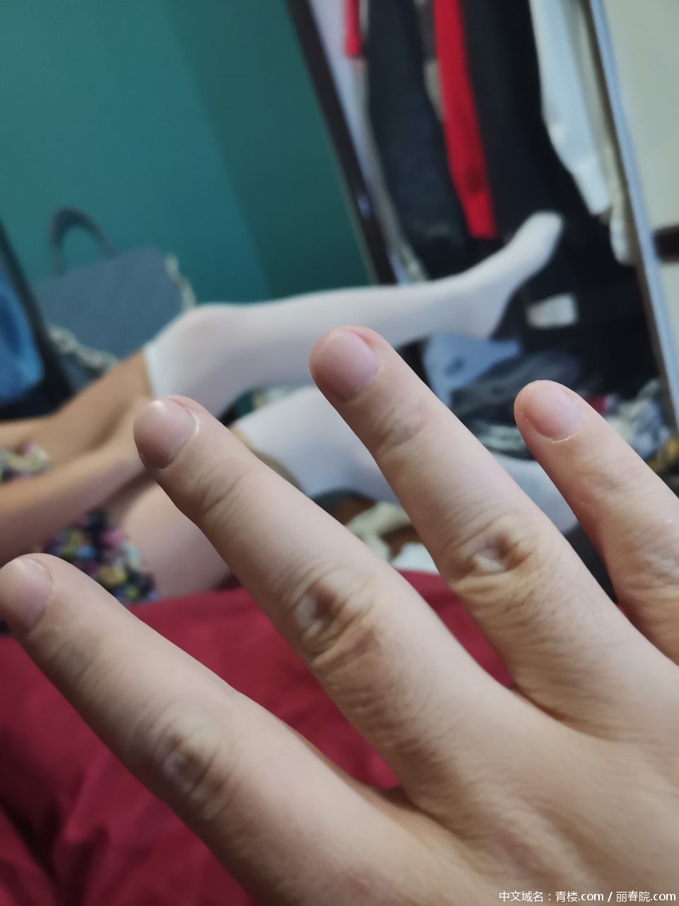92dizq.jpg