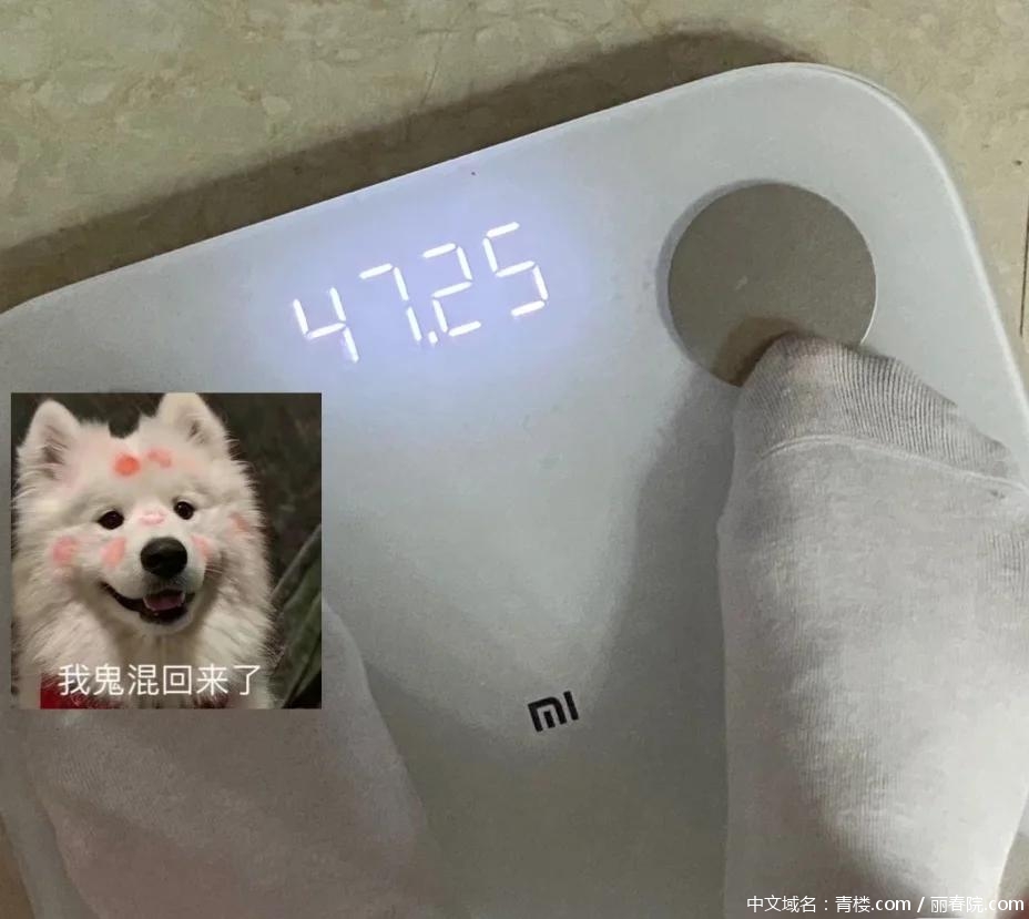 072e380e498a7b6b41c88b04f182acba.jpg