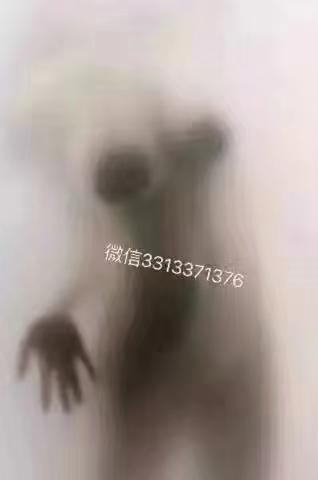 790f8413d82f48069a0d454abe854b2d.jpg