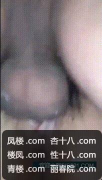 d0610.jpg