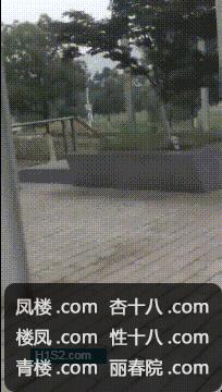 d0410.jpg
