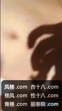 e1804.jpg