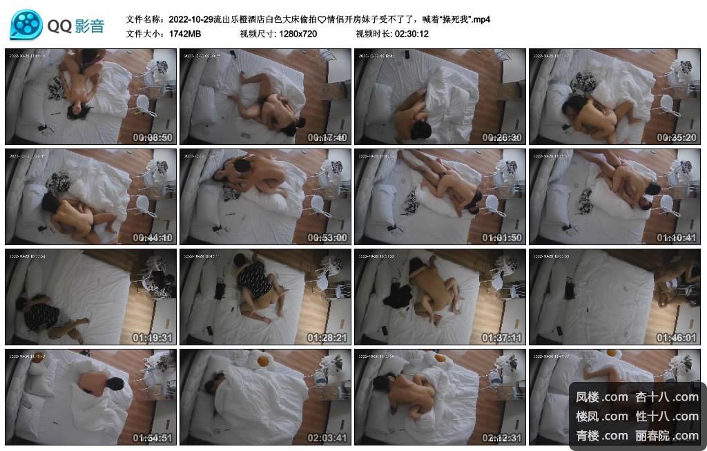 2022-10-29.mp4_thumbs_2022.11.12.20_31_05.jpg
